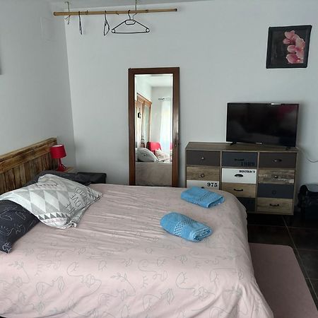 Proprietaire Prive Bed & Breakfast Carcassonne Luaran gambar